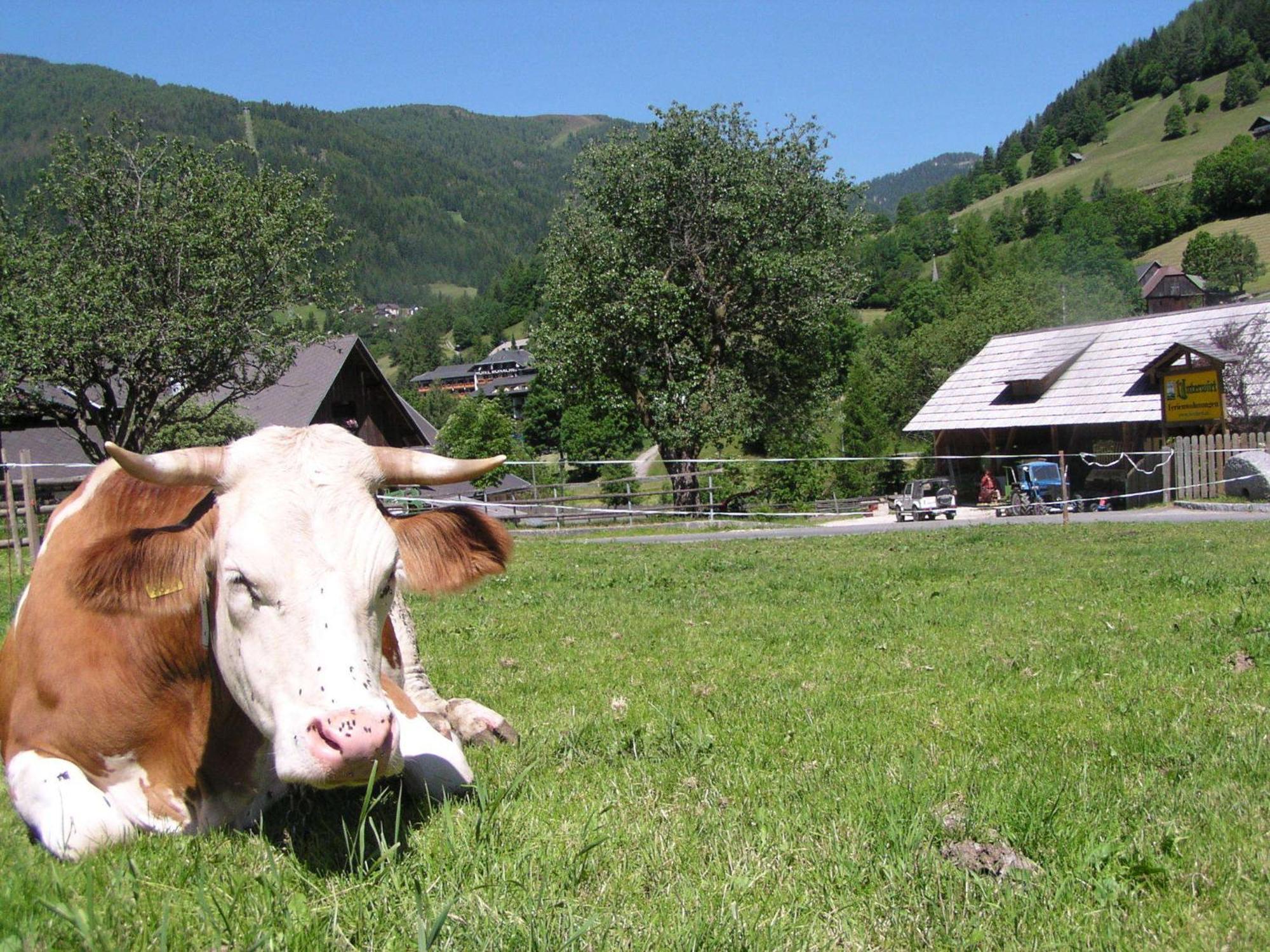 Unterwirt Lejlighed Bad Kleinkirchheim Eksteriør billede